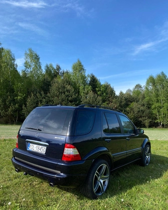 Mercedes-Benz ML cena 38500 przebieg: 242465, rok produkcji 2003 z Wolbrom małe 254
